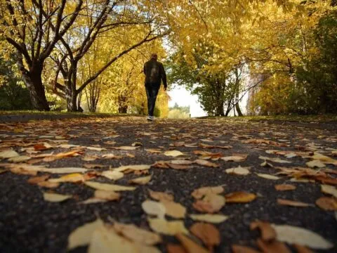 10 тысяч шагов к жизни