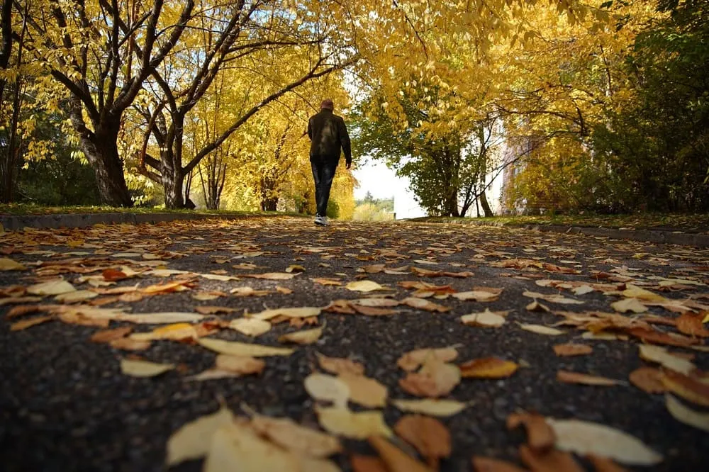 10 тысяч шагов к жизни