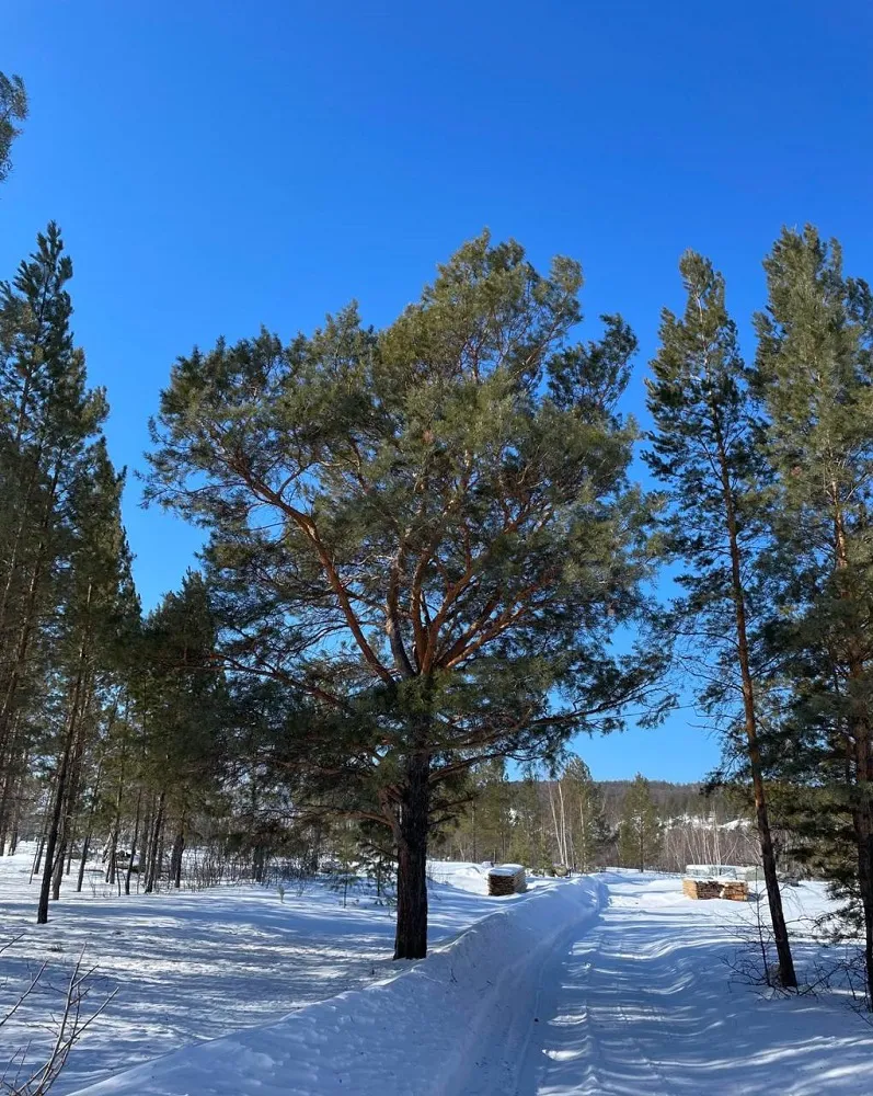 Ретрит «Активация женской силы» - 21 Марта