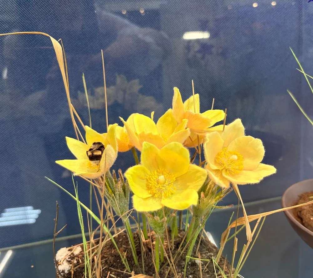 Выставка «Аллегория лета» - с 5 Марта 9 Выставка «Аллегория лета» - с 5 Марта