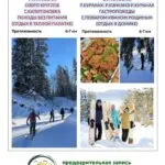 ЛЫЖНЫЕ ПРОГУЛКИ