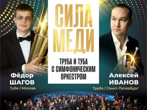 СИЛА МЕДИ