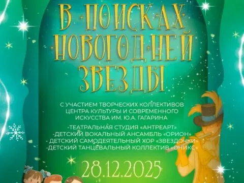 В поисках новогодней звезды