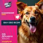 Вау «Обо всем» - 5 декабря 41 Вау Обо всем