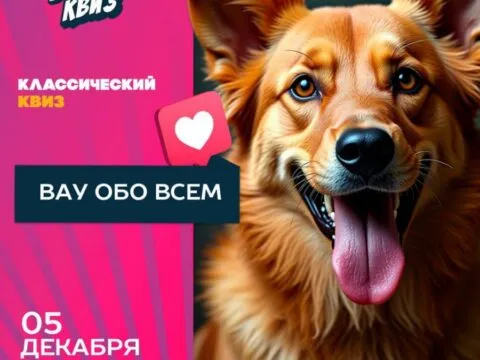 Вау Обо всем