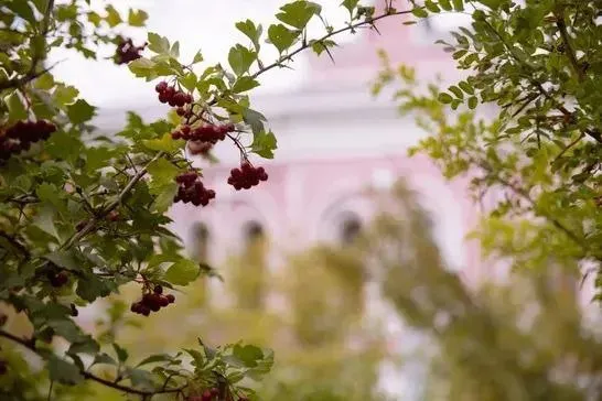 Пленэр «Осень с музеем» - 13 сентября 10 Пленэр «Осень с музеем» - 13 сентября