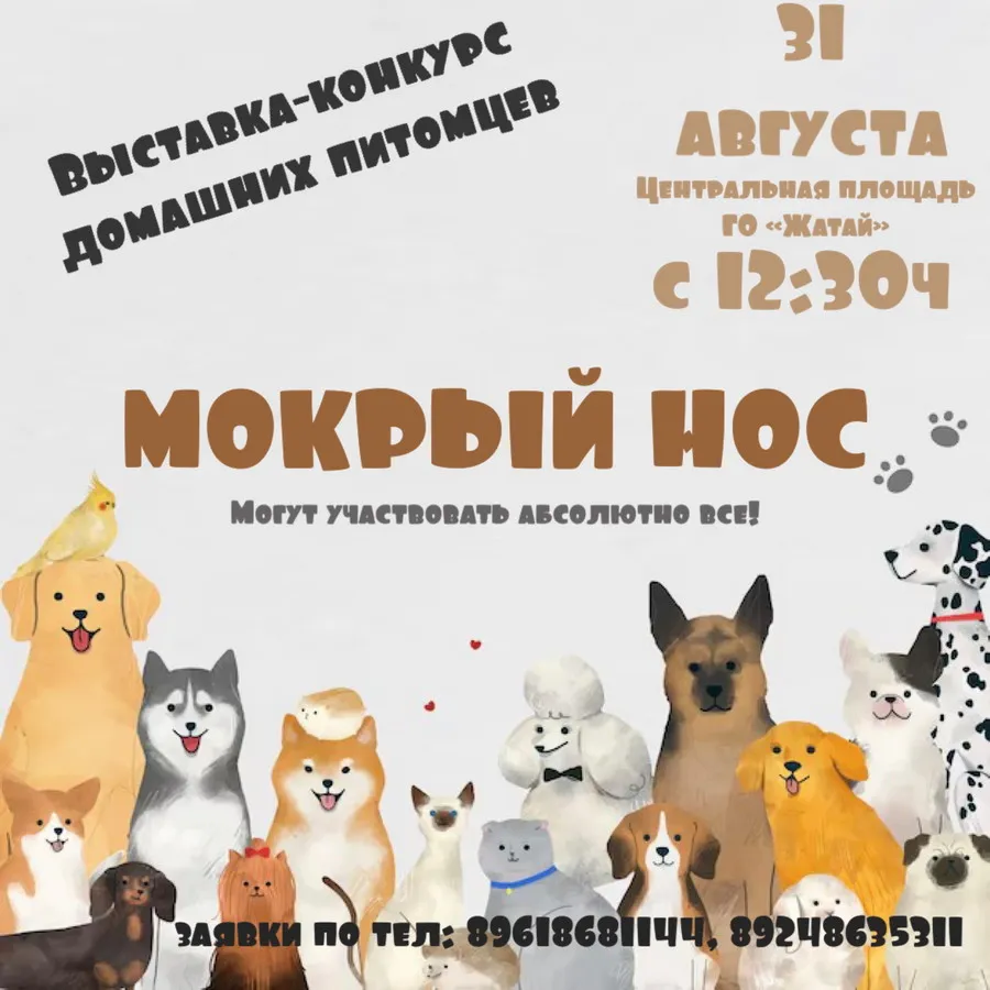 МОКРЫЙ НОС