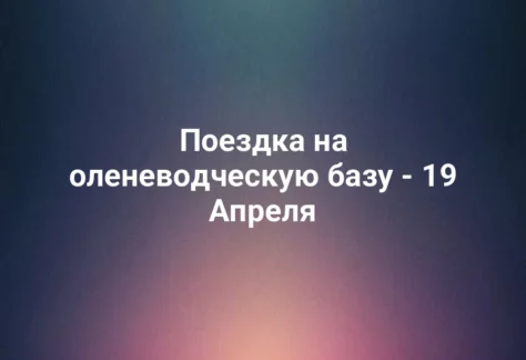 Поездка на оленеводческую базу - 19 Апреля