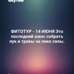 ФИТОТУР - 14 ИЮНЯ Это последний шанс собрать лук и травы на пике силы.