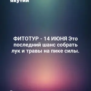 ФИТОТУР - 14 ИЮНЯ Это последний шанс собрать лук и травы на пике силы.