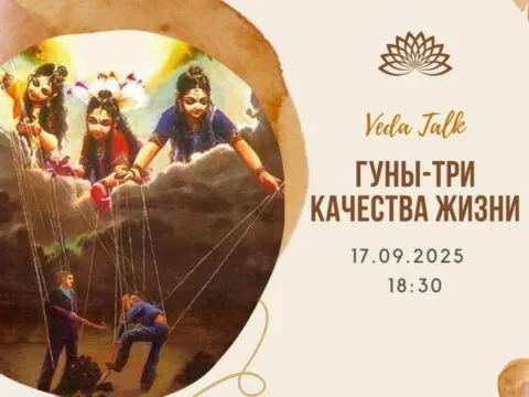 три качества жизни