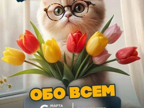 вау обо всем