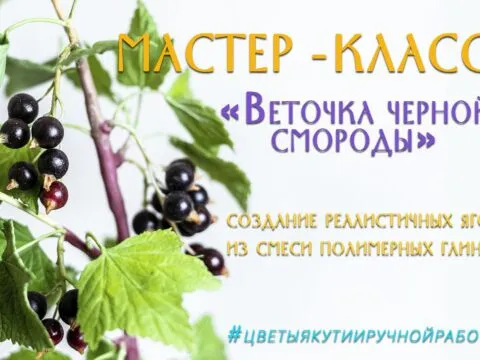 веточка